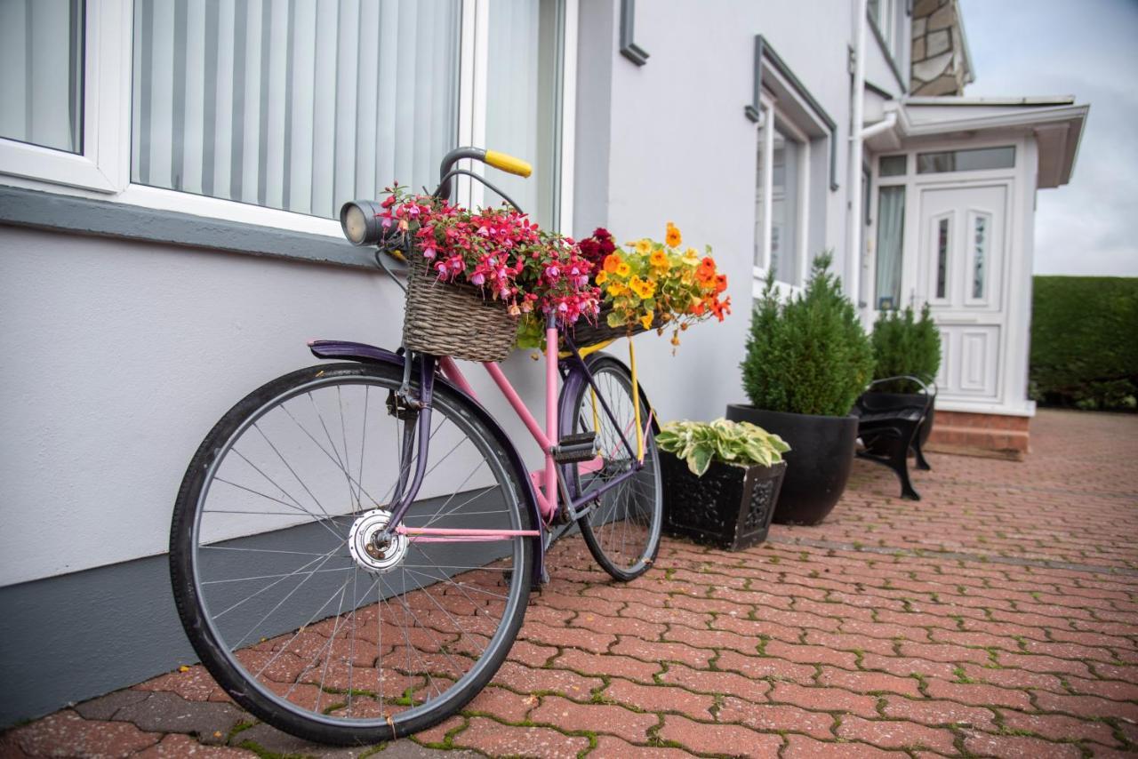 Drom Na Gainne B&B Carrickmore Ngoại thất bức ảnh